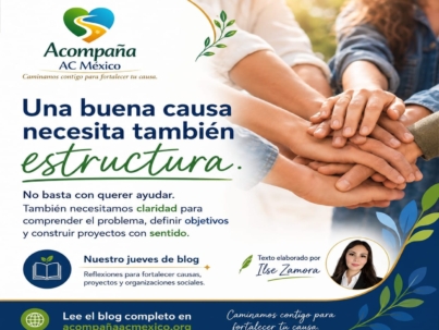 Blog Una buena causa necesita también estructura