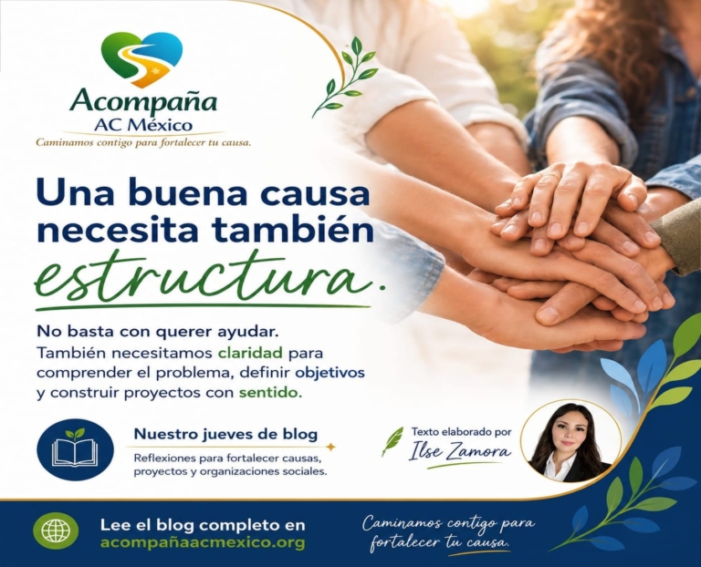 Blog Una buena causa necesita también estructura